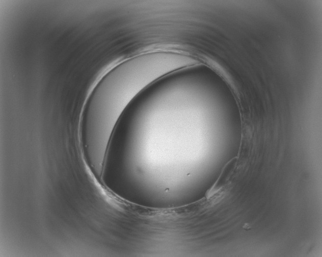 X0000064041050200601270927