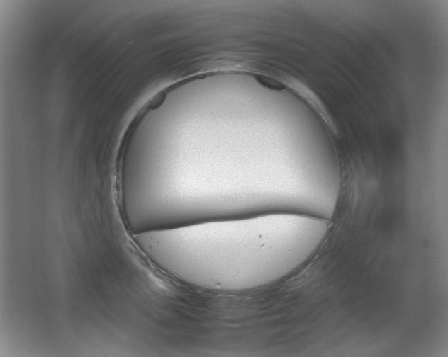 X0000064041051200601270927