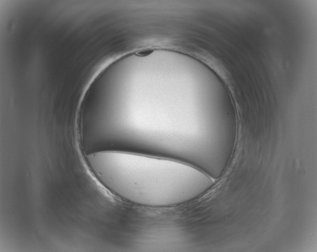 X0000064041056200601270927