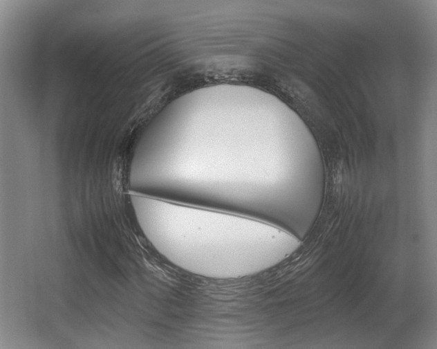 X0000064041060200601270926