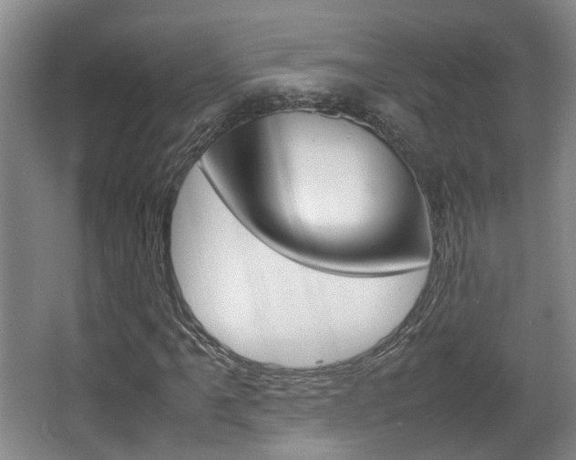 X0000064041061200601270926