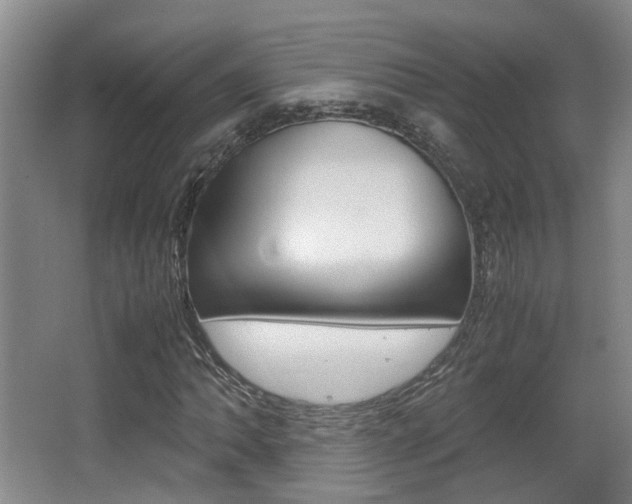 X0000064041062200601270926