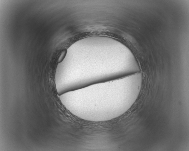 X0000064041063200601270926