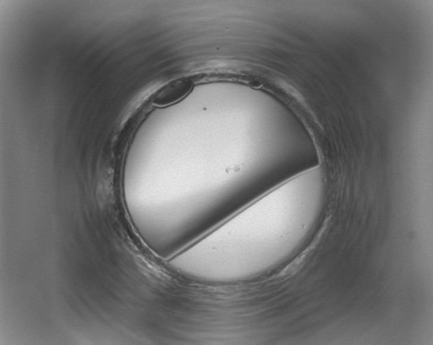 X0000064041066200601270926