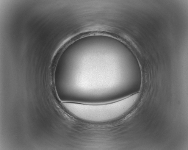 X0000064041069200601270926