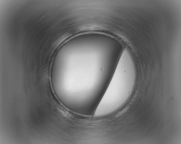 X0000064041073200601270926