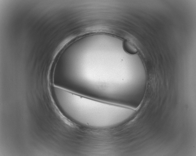X0000064041082200601270926