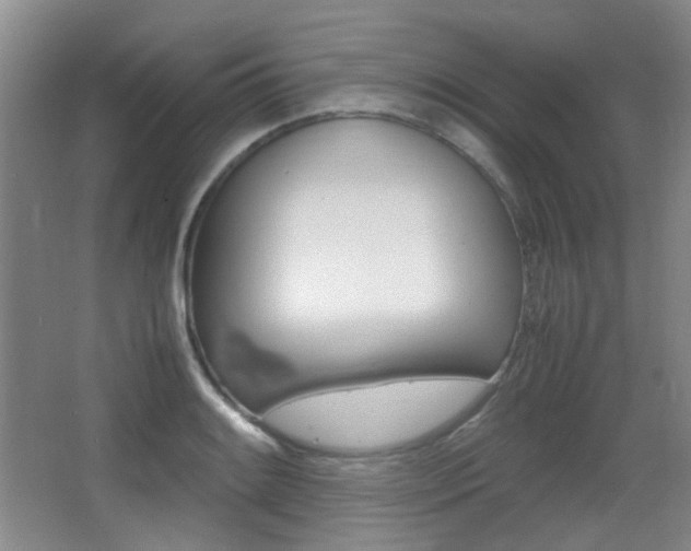 X0000064041084200601270926