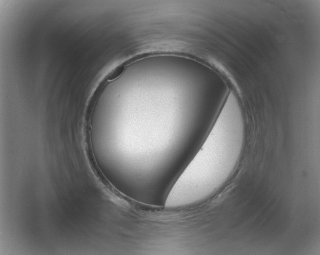 X0000064041085200601270926