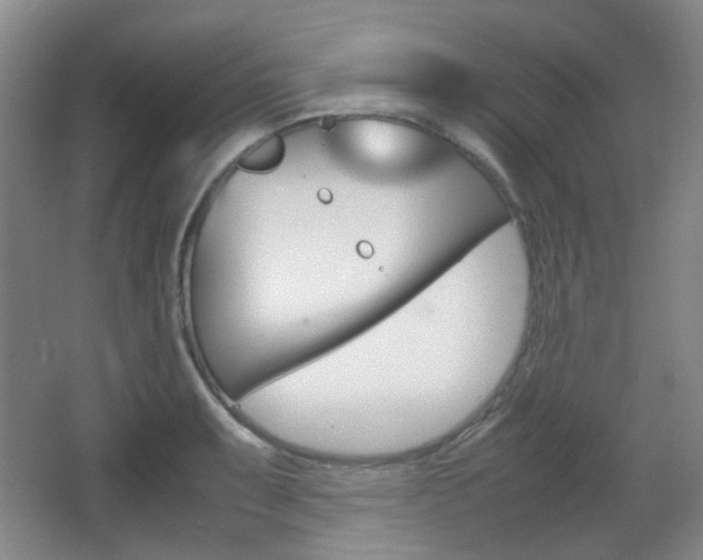 X0000064041087200601270926