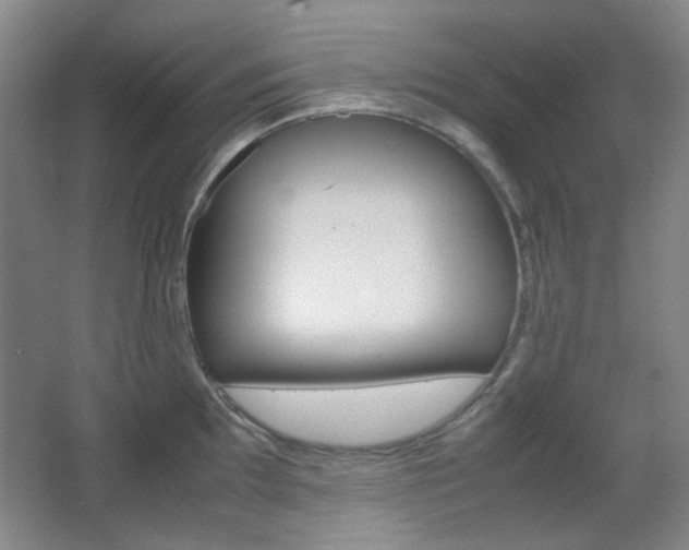 X0000064041097200601270926