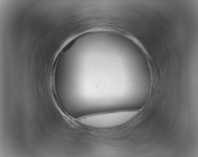 X0000064041101200601270925