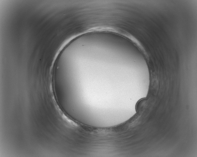 X0000064041102200601270925