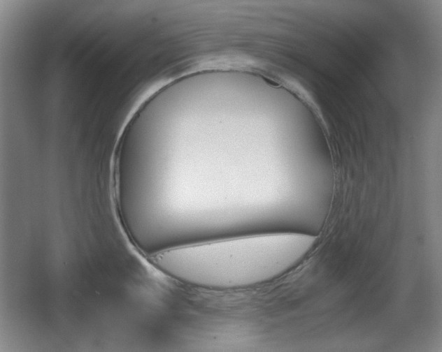 X0000064041103200601270925
