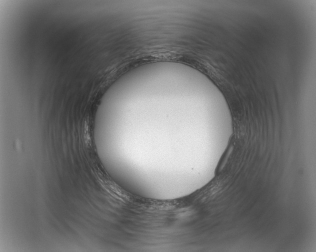 X0000064041106200601270925
