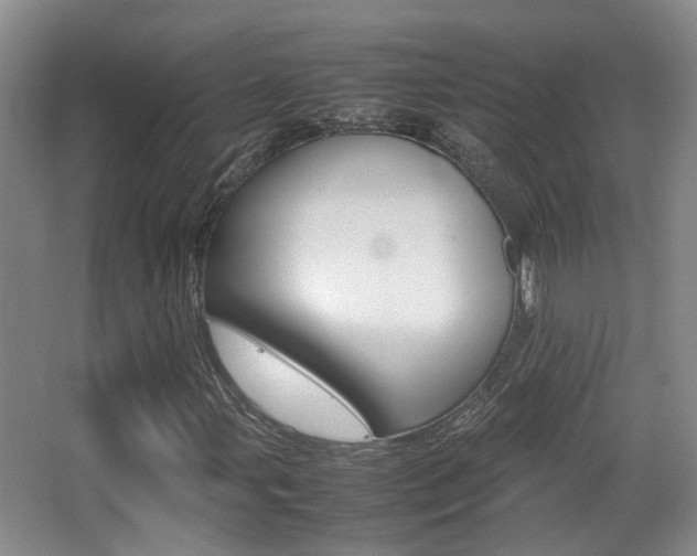 X0000064041107200601270925
