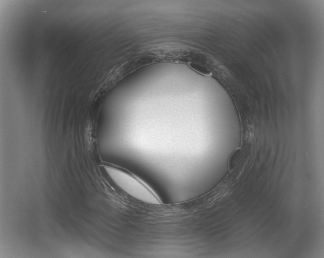 X0000064041108200601270925