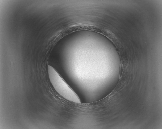 X0000064041110200601270925