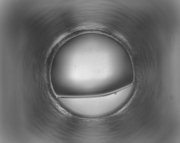 X0000064041114200601270925