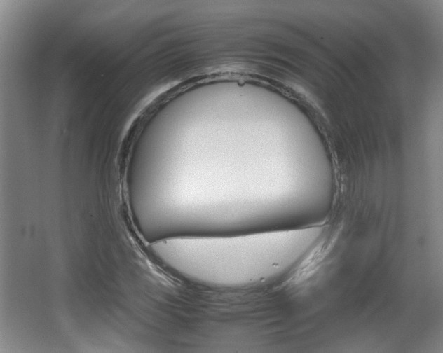 X0000064041117200601270925