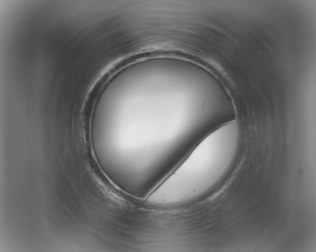 X0000064041118200601270925