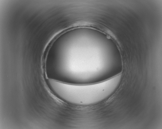 X0000064041124200601270925