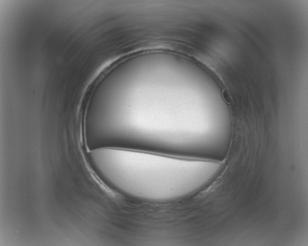 X0000064041127200601270925