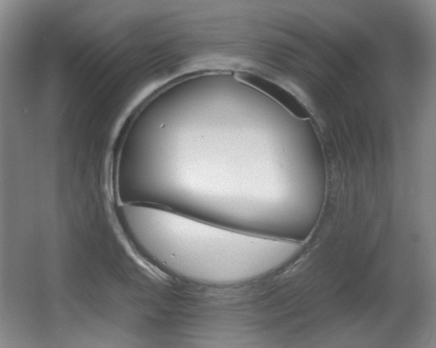 X0000064041128200601270925