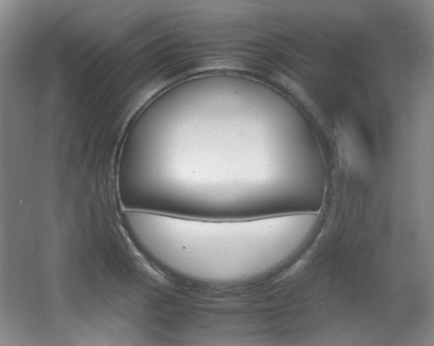 X0000064041129200601270925