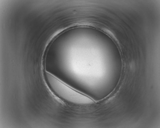 X0000064041133200601270925