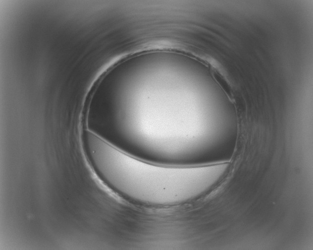 X0000064041134200601270925