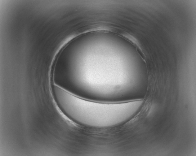 X0000064041135200601270925
