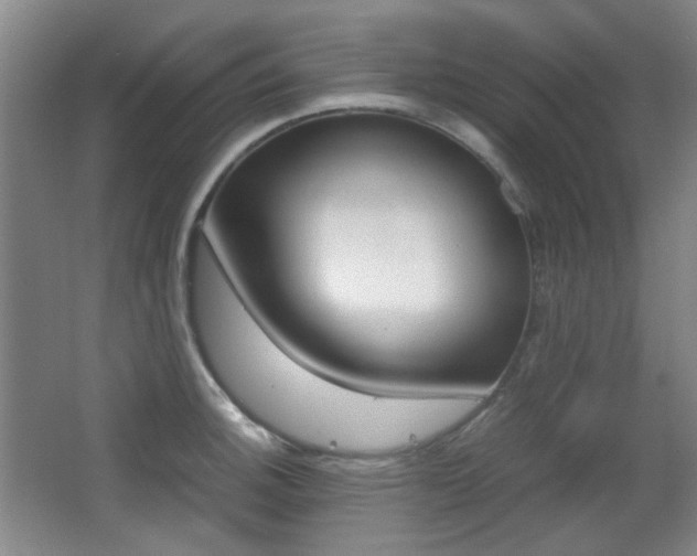 X0000064041140200601270925
