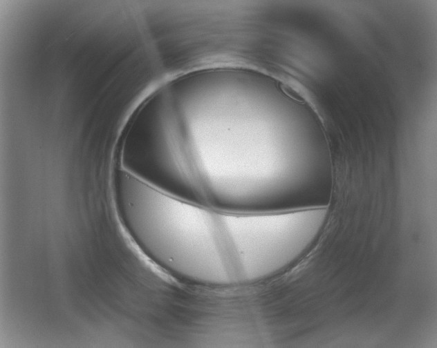 X0000064041142200601270925