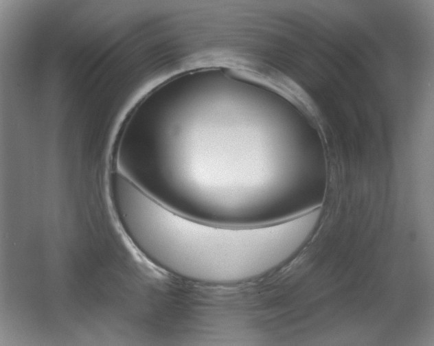 X0000064041144200601270925