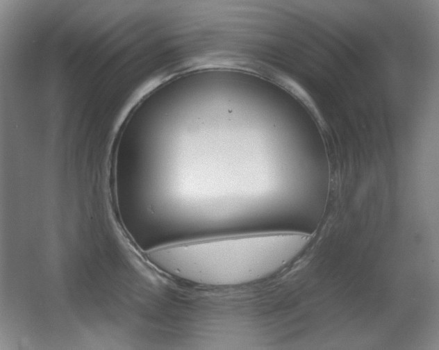 X0000064041146200601270925