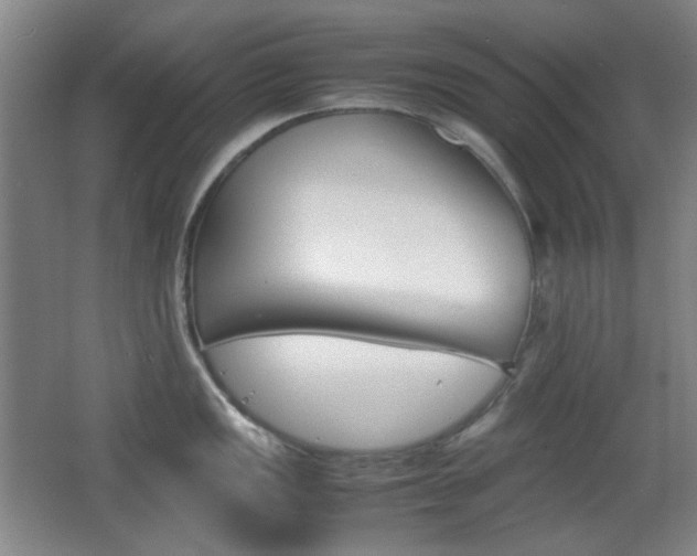 X0000064041149200601270925