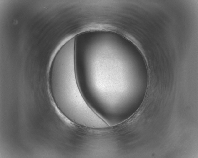 X0000064041152200601270925