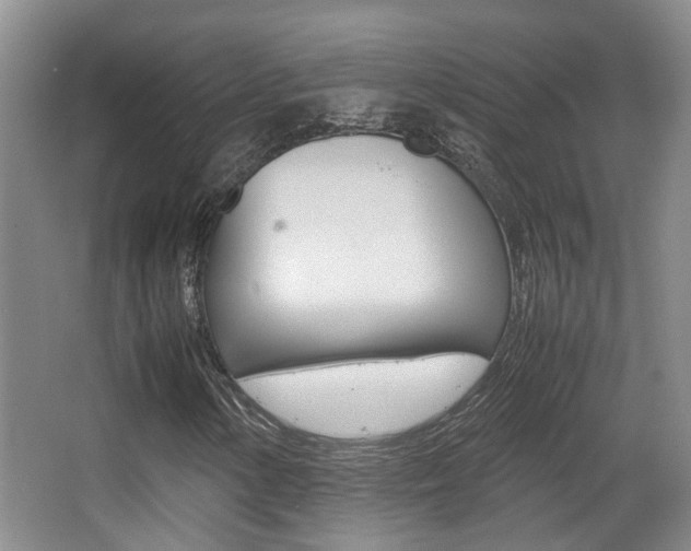 X0000064041154200601270925