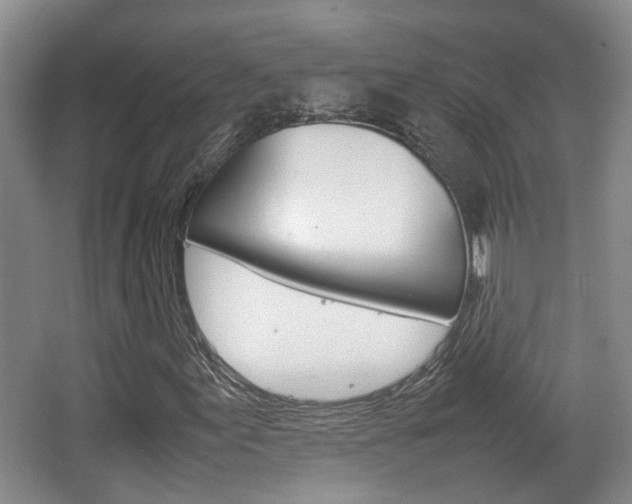 X0000064041155200601270925