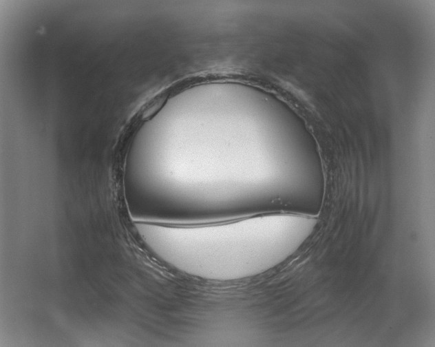 X0000064041160200601270924