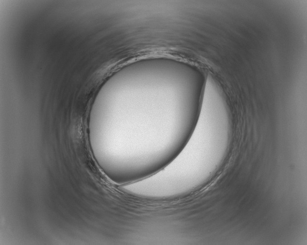X0000064041161200601270924