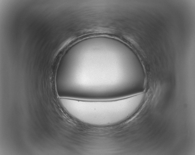 X0000064041163200601270924