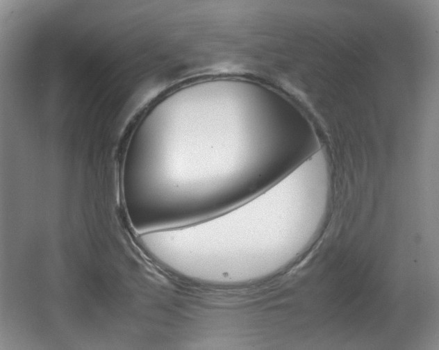 X0000064041171200601270924