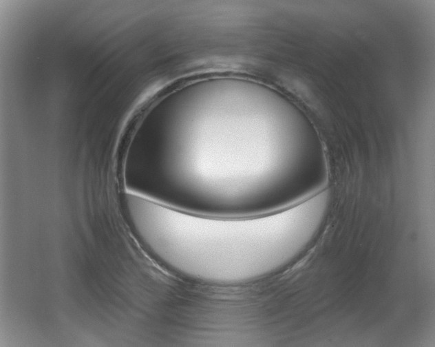 X0000064041172200601270924