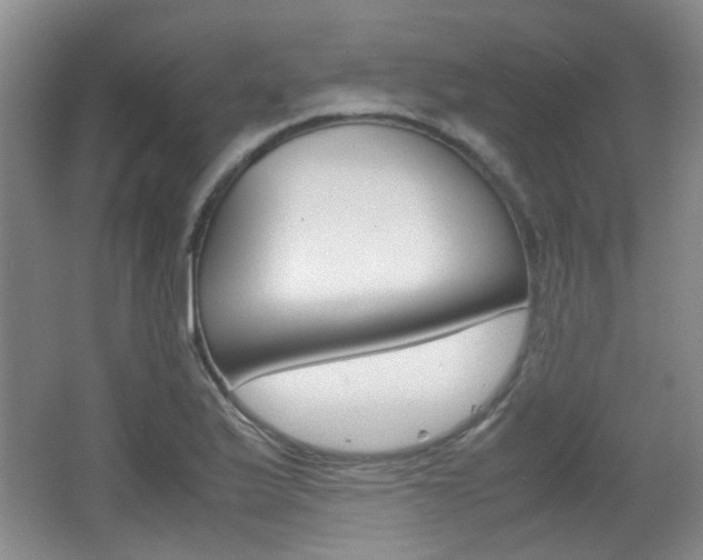 X0000064041175200601270924