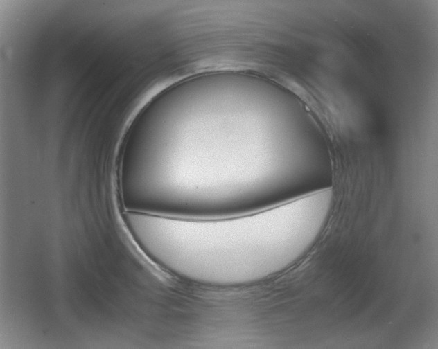 X0000064041187200601270924