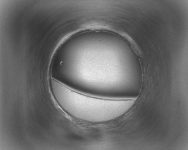 X0000064041191200601270924