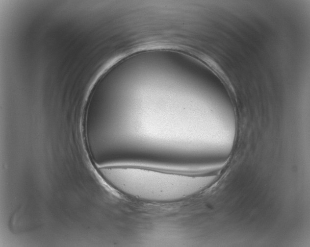X0000064041197200601270924