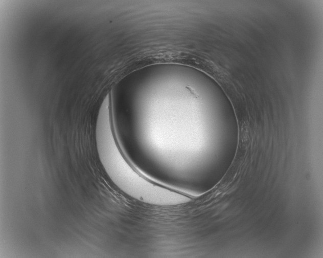 X0000064041202200601270923